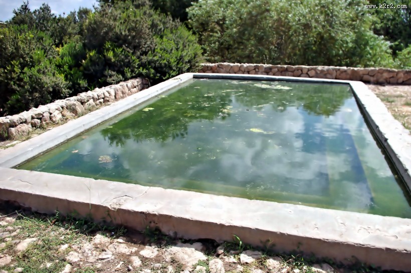 长水藻的水面图片