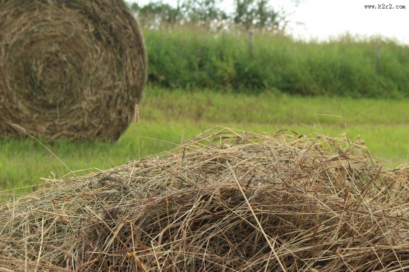 草垛风景图片