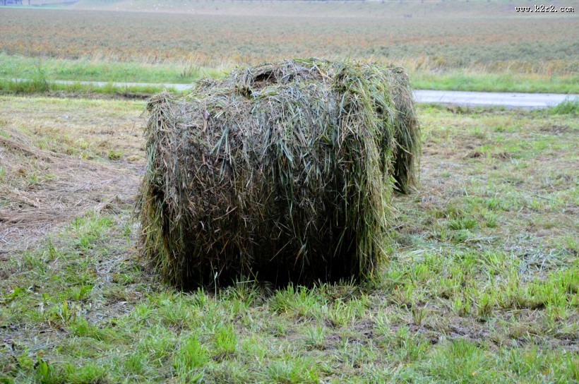 草垛风景图片