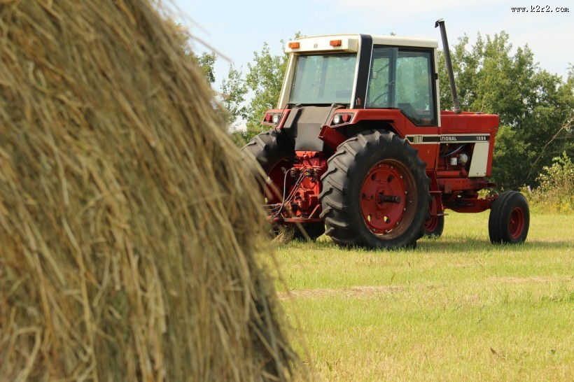 草垛风景图片