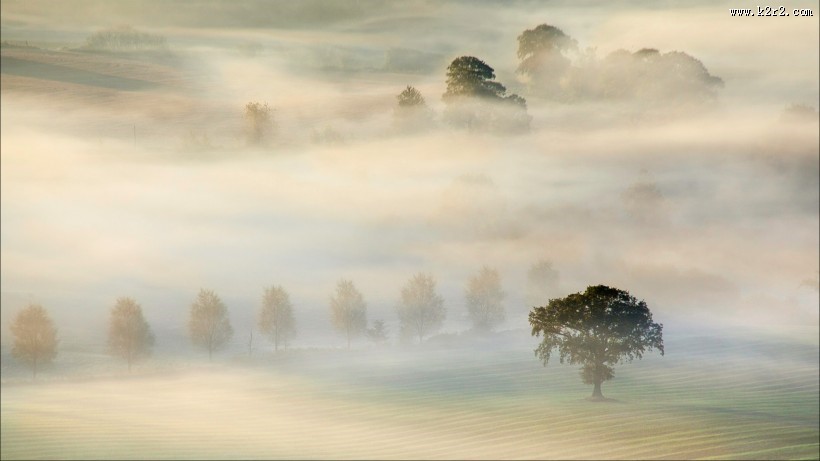雾中风景图片