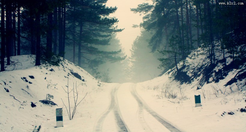 雪后的林间道路图片