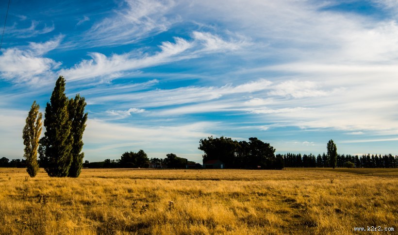 风吹麦浪风景图片