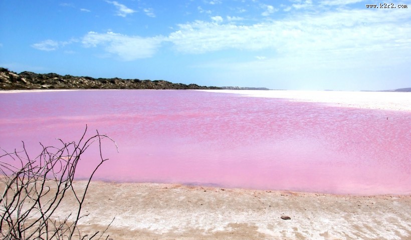 梦幻粉色湖泊图片