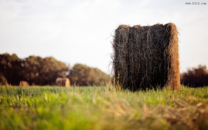 草垛子风光图片