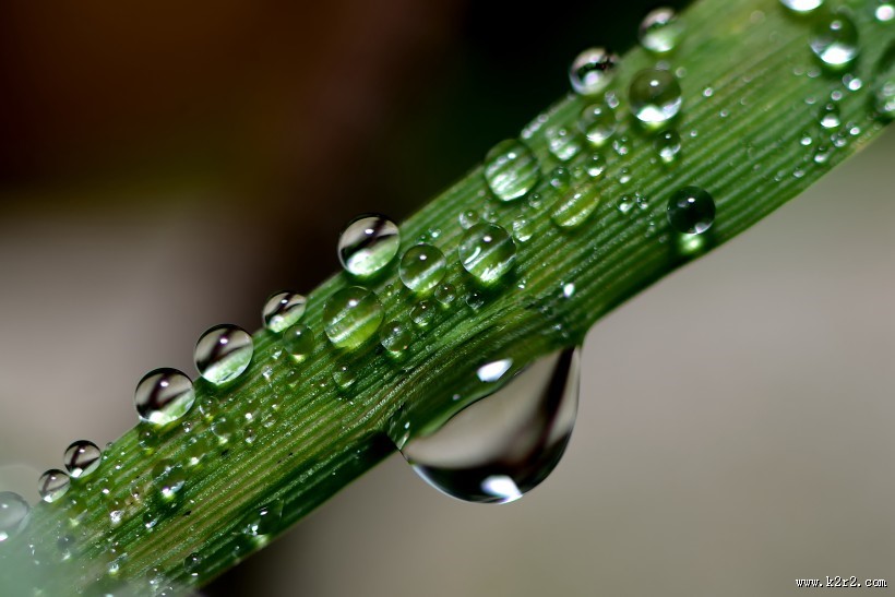 微世界风景图片
