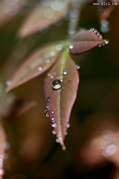 微世界风景图片