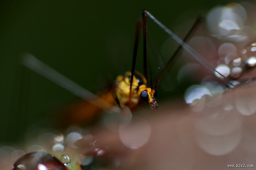 微世界风景图片