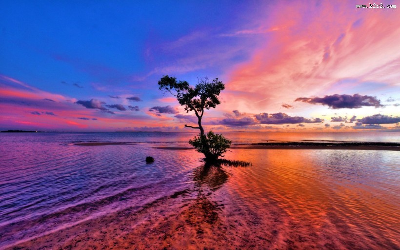 唯美紫色天空图片