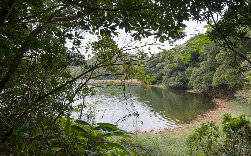 日本种子岛图片