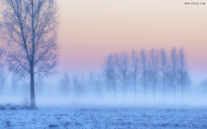 雾中美丽温柔的世界图片大全