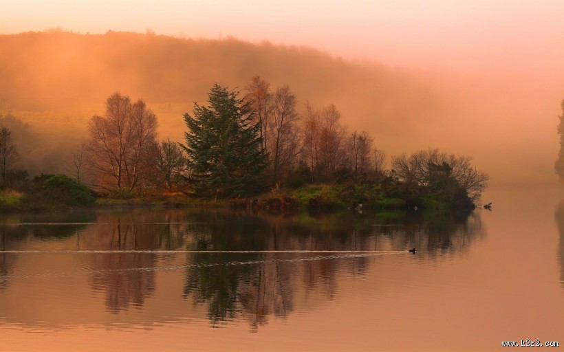 雾中美丽温柔的世界图片大全
