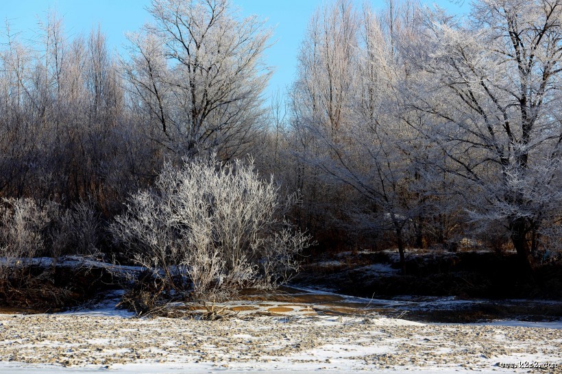 雾凇风景图片