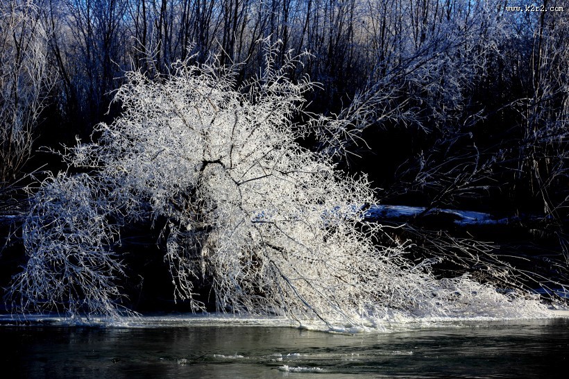 雾凇风景图片