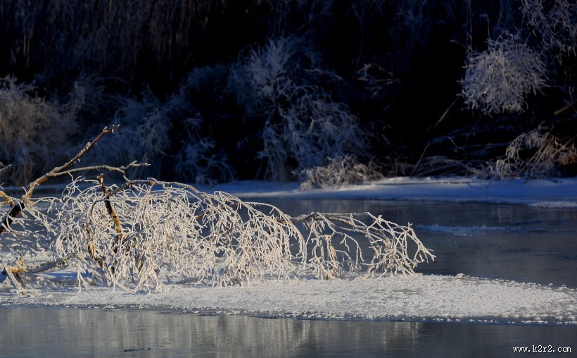 雾凇风景图片