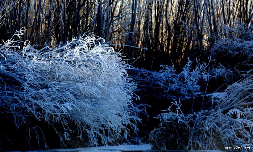 雾凇风景图片