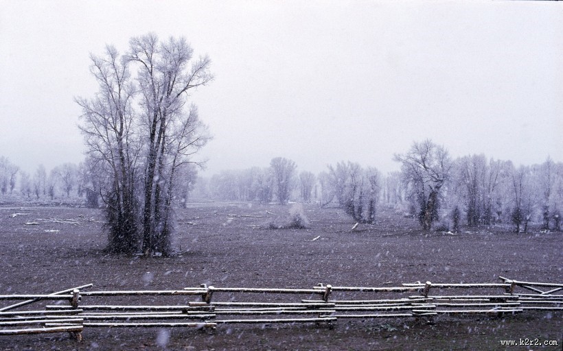 美丽的栅栏图片