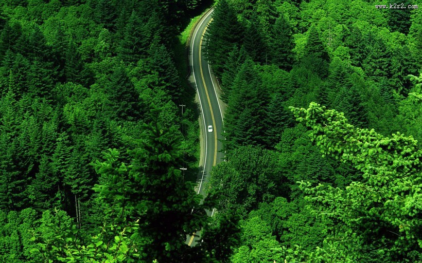 唯美路边风景图片