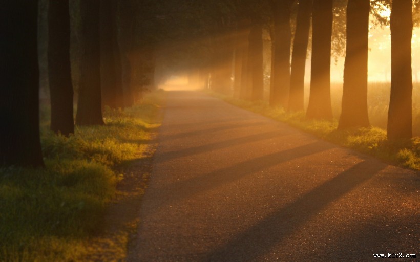 唯美路边风景图片