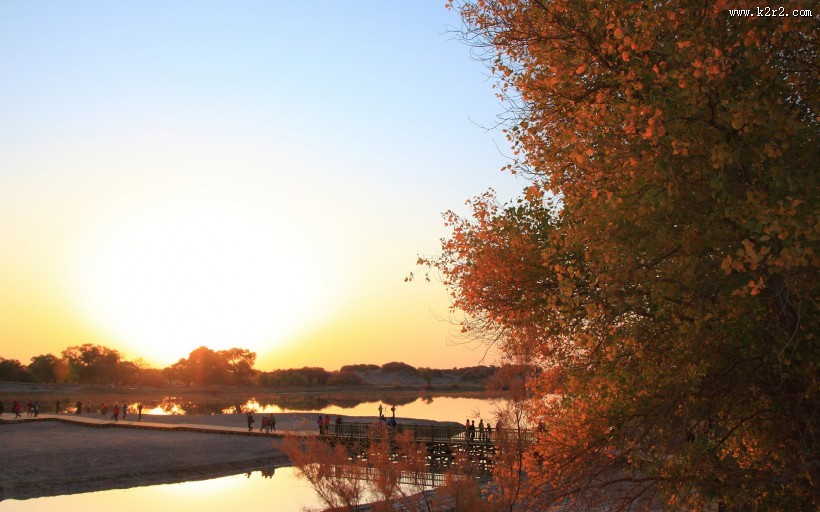 胡杨林秋色风景图片