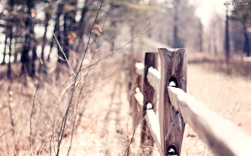记忆中的栅栏图片