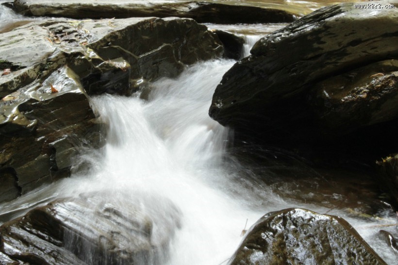 哀牢山泉水图片