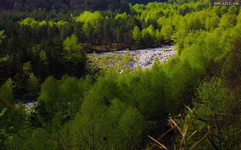 秦岭春天风景图片