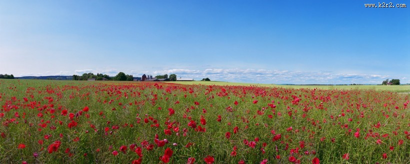 广角草原风景图片
