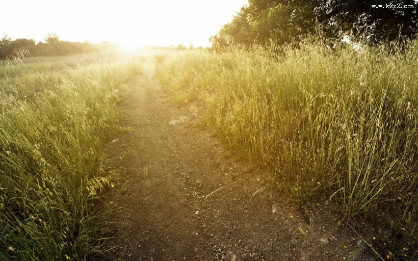 乡间小路风景图片大全