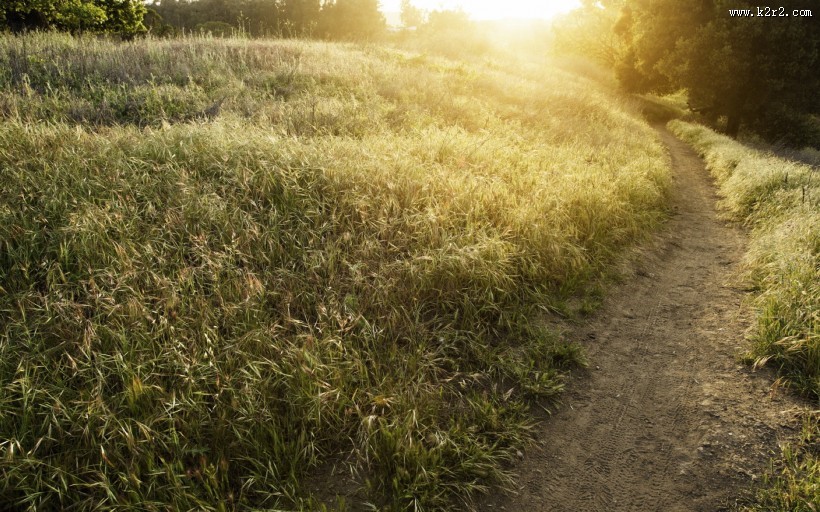 乡间小路风景图片大全