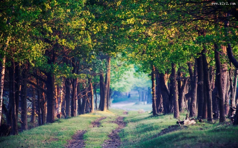乡间小路风景图片大全