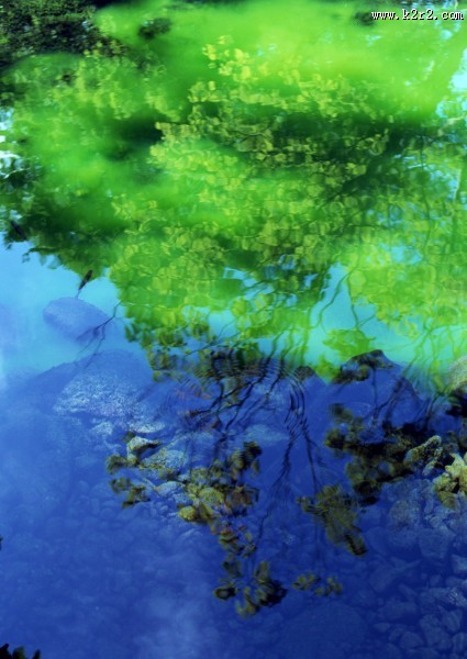 水中美丽风景图片大全