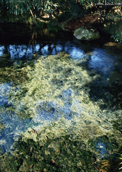 水中美丽风景图片大全