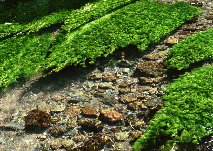 清澈水底图片大全