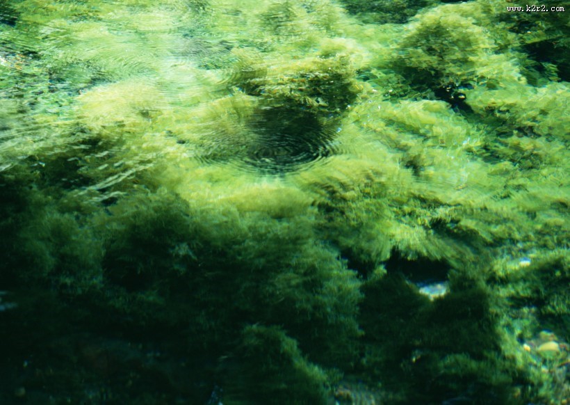 清澈水底图片大全