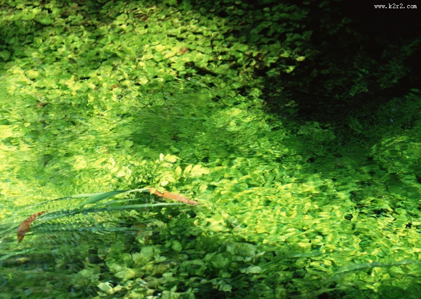清澈水底图片大全