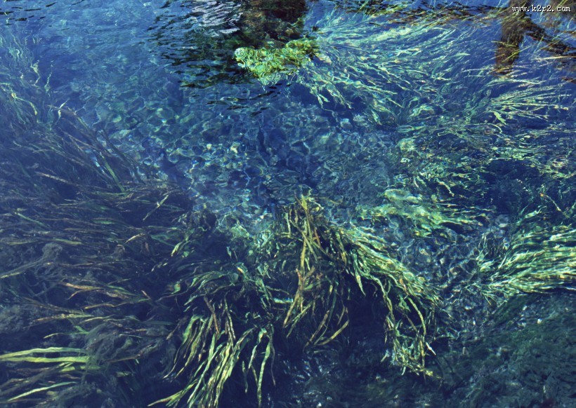 清澈水底图片大全