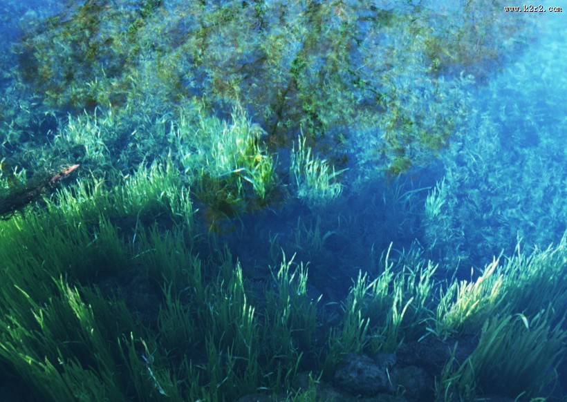 清澈水底图片大全