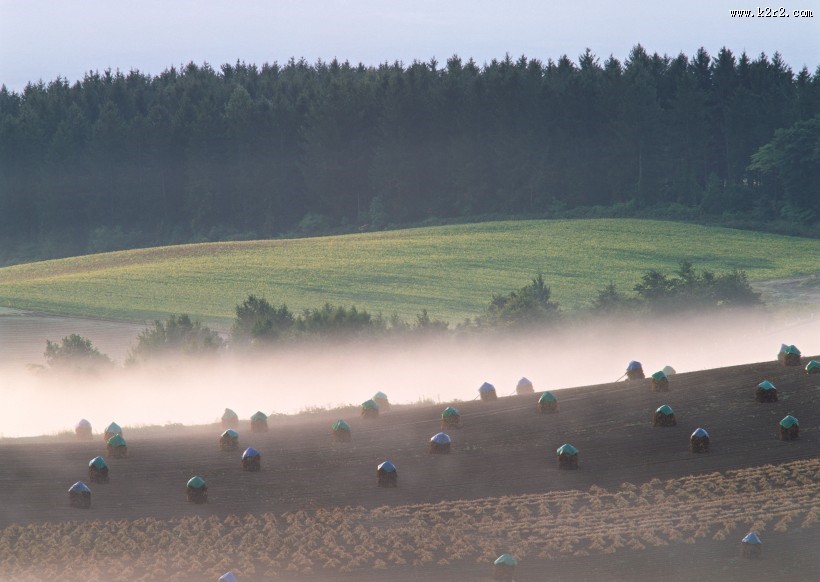 夕阳迷雾风景图片大全