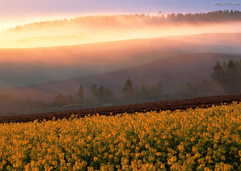 夕阳迷雾风景图片大全