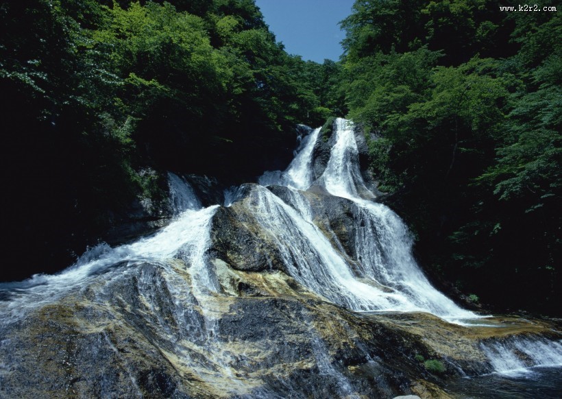 绿色树木和湖泊图片