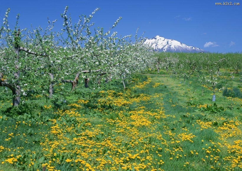 蓝天和湖水图片