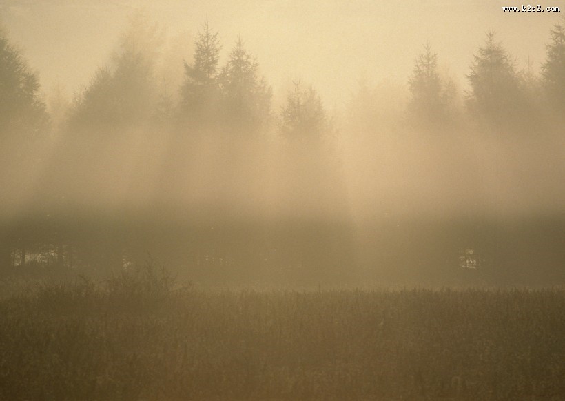 朦胧湖面倒影图片