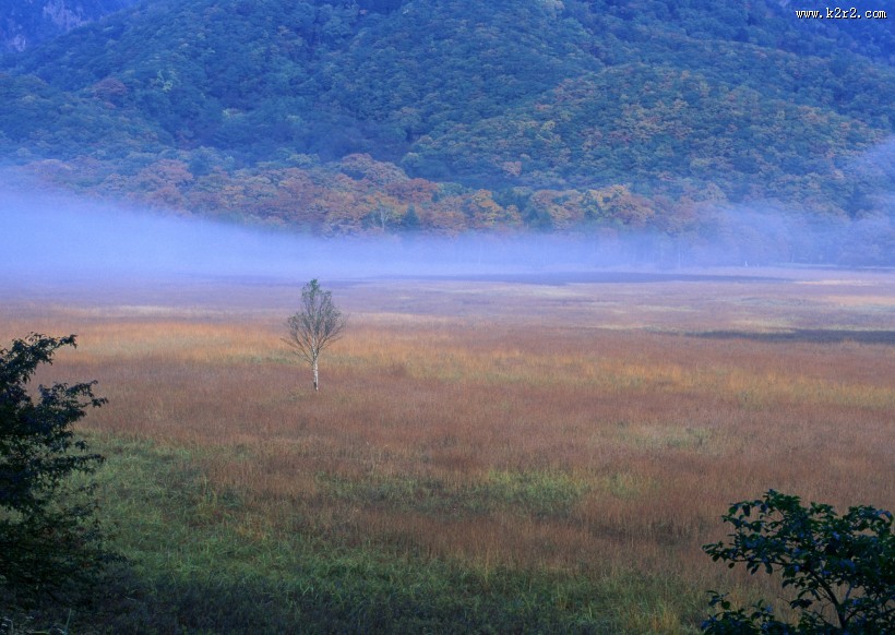 秋季红叶和湖水图片