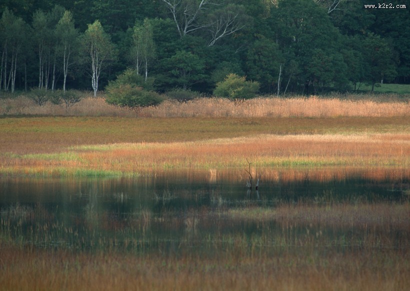 秋季红叶和湖水图片