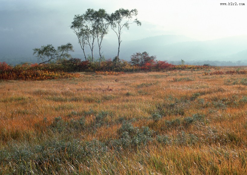 秋季红叶和湖水图片