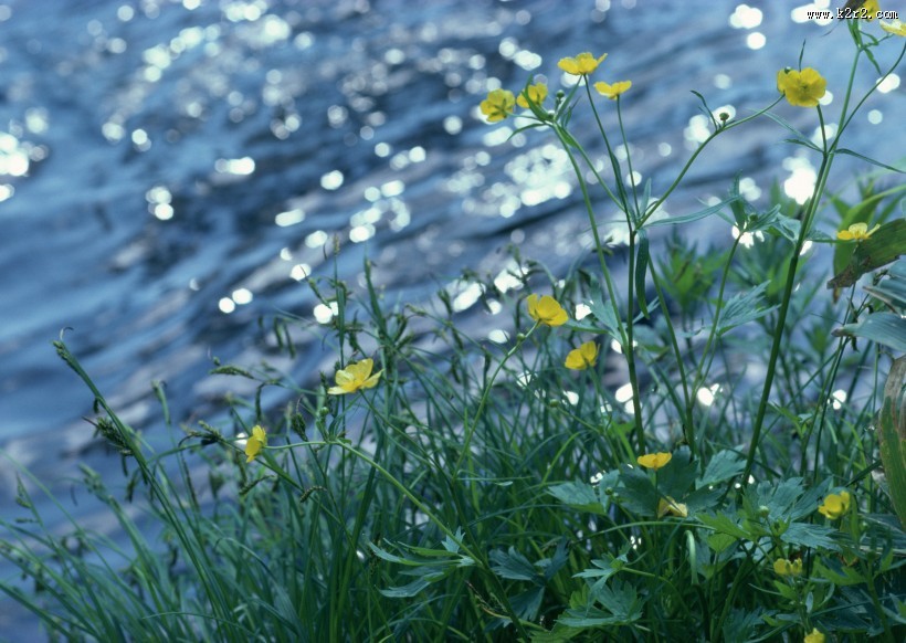 春季风景如画图片