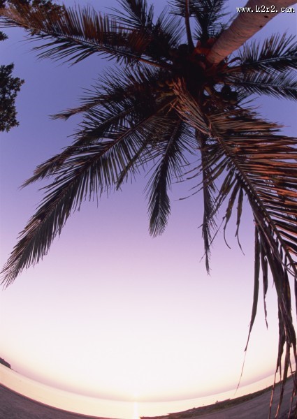 海边落日唯美紫霞图片