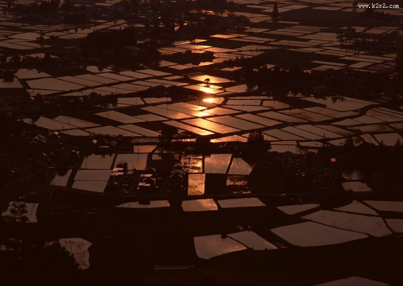 夕阳下的梯田图片