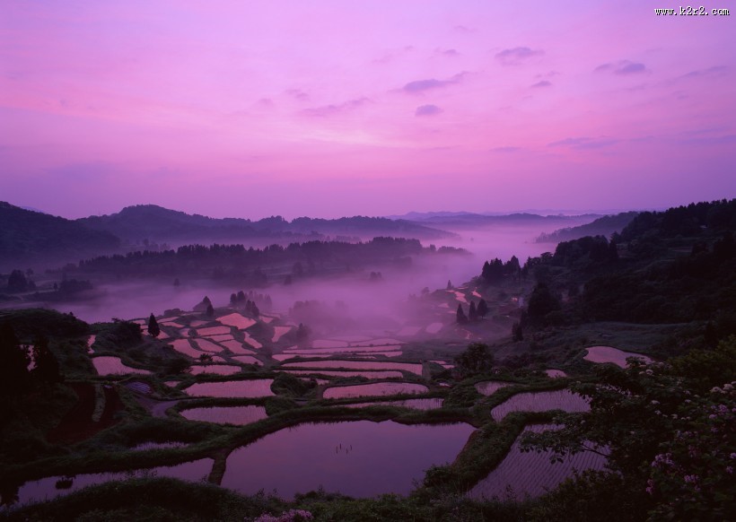 夕阳下的梯田图片